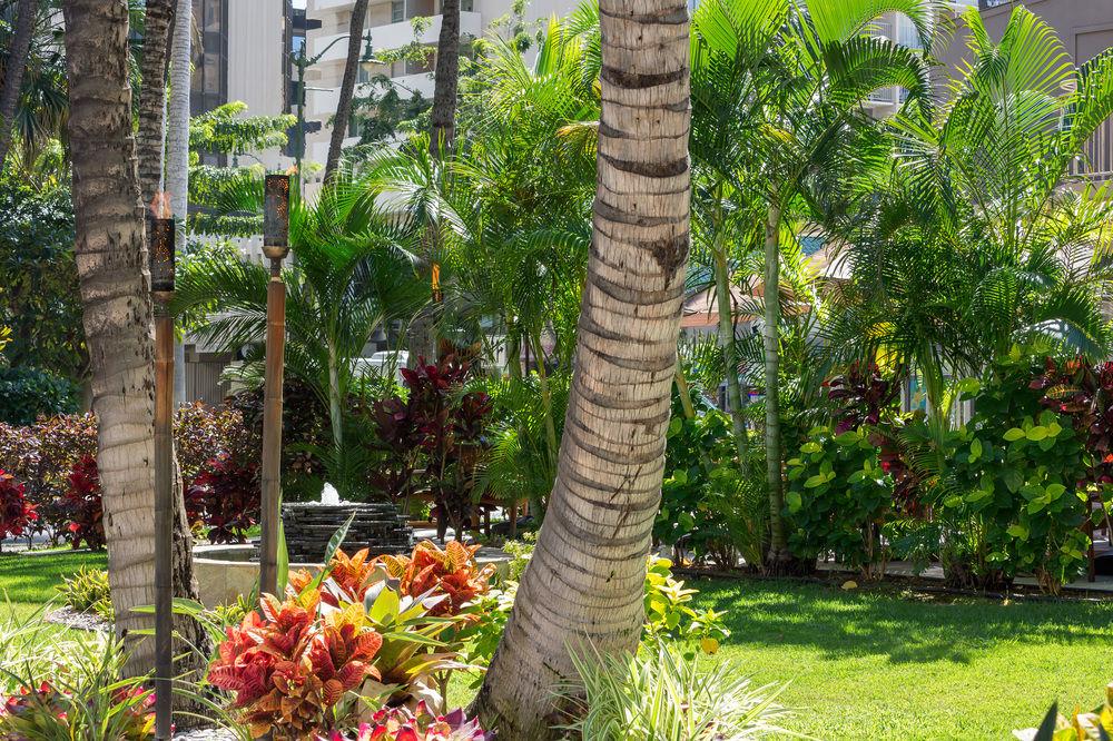 Courtyard By Marriott Waikiki Beach Honolulu Exterior foto